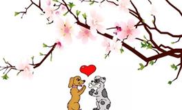 属狗女的属相婚配表大全