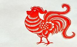 属鸡人的一生命运