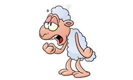 2003年属羊男人一生婚姻运势