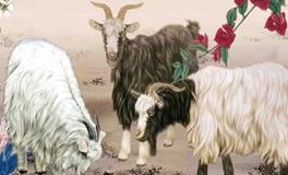 属羊人幸运石和开运水晶