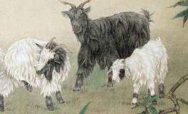 属羊人的三合贵人是谁