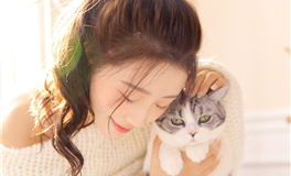 李云天生肖鸡一周运势（2.4-2.10）