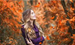 滴天居士生肖虎2024年2月运势