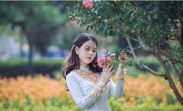 秦阳明一周生肖运势（1.15-1.21）