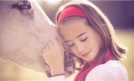 熊神进12生肖一周运势（1.22-1.28）