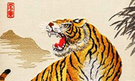 属虎的女人命好不好？