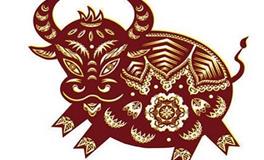 属牛适合什么颜色，属牛的幸运色是什么颜色