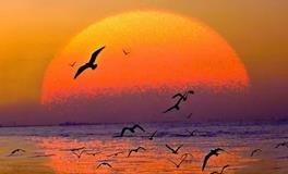 愿力，宇宙中最强大的能量