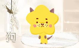 伴侣做出什么事，属狗人就想着要离婚了