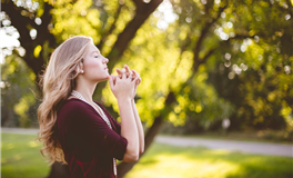 属牛的人适合饲养哪种猫