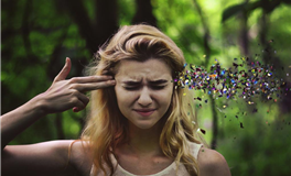 2024年属猪的人幸运数字 幸运色 幸运日 倒霉日