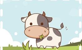 1997年属牛的人寿命长吗，能活到多少岁