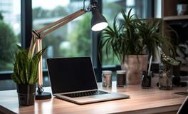 适合摆放在办公室的绿植盆栽