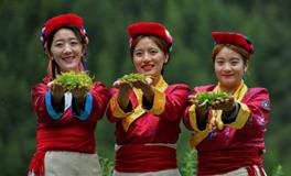 门巴族的风俗有哪些