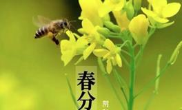 春分俗语和谚后语