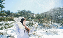 属狗男手机里存着谁的照片