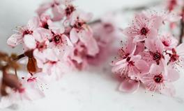 帮你留住桃花的八个卧室禁忌