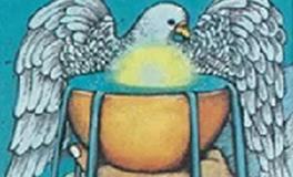 爱莎公主水瓶座2024年4月塔罗运势