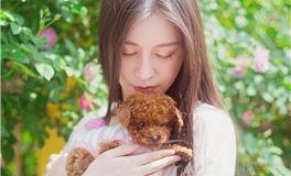 前任眼中的白羊座是什么样