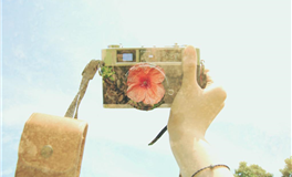 秦阳明生肖狗2024年5月运势