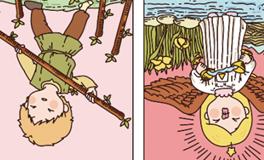 Pandora占星小巫双鱼座一周塔罗运势（5.6-5.12）