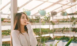 探究食伤在生克术语中的用神之道