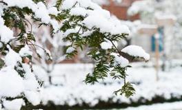 小满节气七言绝句有哪些？二十四节气怎么划分的？