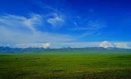 坟墓里老鼠和蛇的出现意味着什么