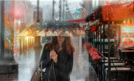 生肖虎曾做过的那些令人捧腹的奇葩行为