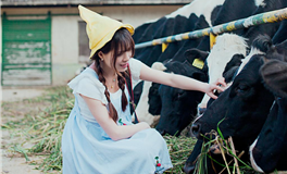 冷落12星座一周，你敢吗？