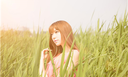 揭秘哪些优势能让属狗人脱颖而出