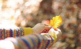 李云天双子座一周运势（6.16-6.22）