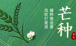 芒种节气旺运指南，收获满满，播种心希望