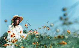 属蛇的人去菜场买菜会砍价吗