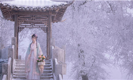 水玲师傅生肖虎2024年7月运势