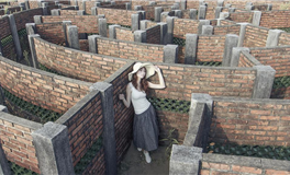 判答金牛座2024年7月运势