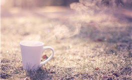 点滴督促，即显辉煌的生肖潜力股