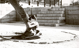 蓝蓝占星双子座一周运势（7.1-7.7）