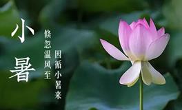 今日迎来小暑节气，你必须知道的三大禁忌与四大传统习俗