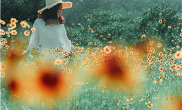 判答双鱼座2024年7月运势