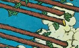 爱莎公主处女座一周塔罗运势（7.22-7.28）