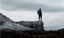 以和为贵，高瞻远瞩有大格局的星座