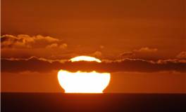 Pandora占星小巫一周星座塔罗运势（8.19-8.25）