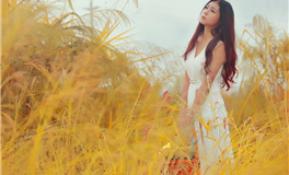 苏珊米勒每日运势2024年11月1日