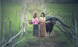 生物预言：年末健康风险提示，【危机应对】刻不容缓