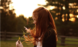 属鸡2025年运势运程