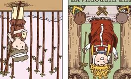 Pandora占星小巫金牛座一周塔罗运势（11.11-11.17）