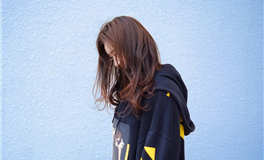 2025年生肖鸡各方面运势预测