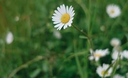 四大血型如何避免真心被辜负？