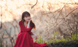 占星小辣椒11月23日十二星座运势